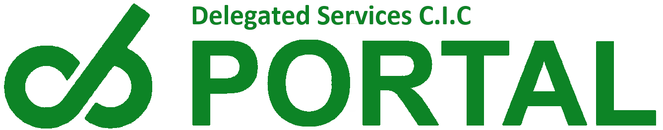 DS Logo